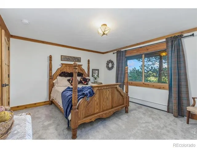 3967 County Road 73c Red Feather Lakes, CO 80545
