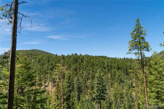 6814 Lynx Lair Road Evergreen, CO 80439