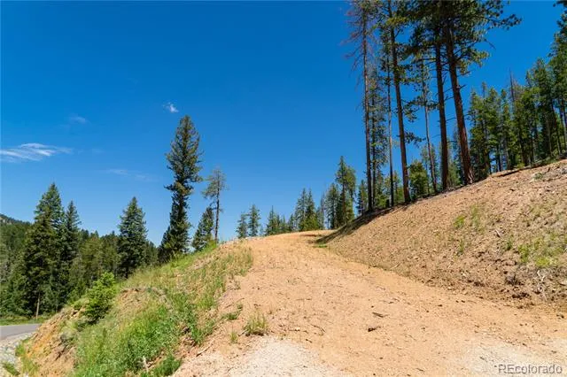 6814 Lynx Lair Road Evergreen, CO 80439