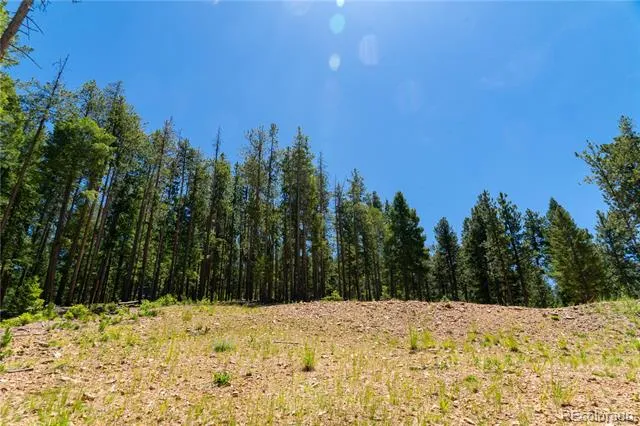6814 Lynx Lair Road Evergreen, CO 80439