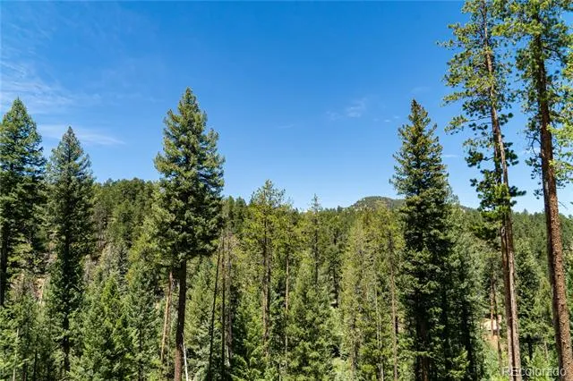 6814 Lynx Lair Road Evergreen, CO 80439