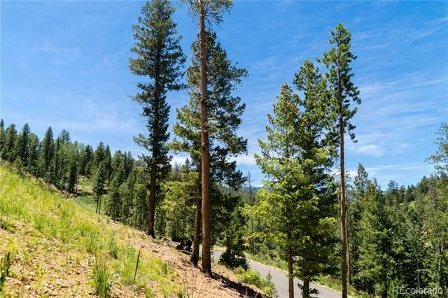 6814 Lynx Lair Road Evergreen, CO 80439