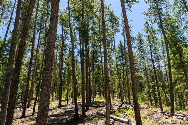 6814 Lynx Lair Road Evergreen, CO 80439