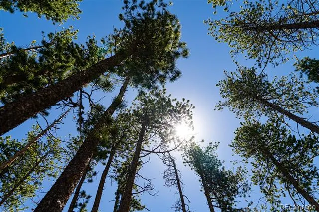 6814 Lynx Lair Road Evergreen, CO 80439