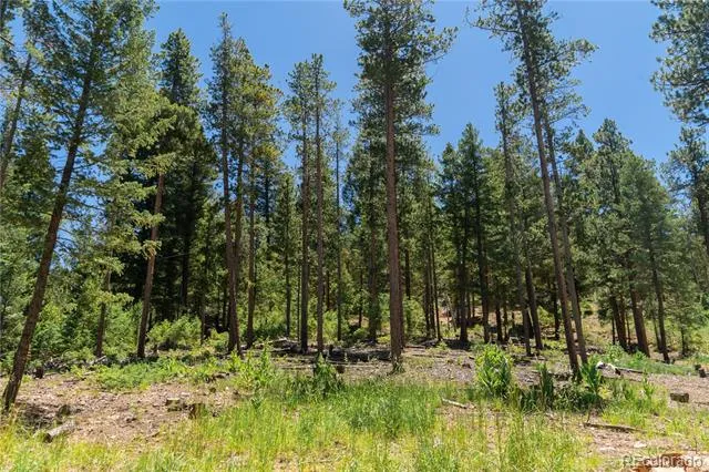 6814 Lynx Lair Road Evergreen, CO 80439