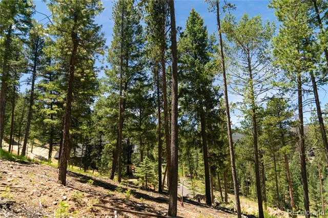 6814 Lynx Lair Road Evergreen, CO 80439