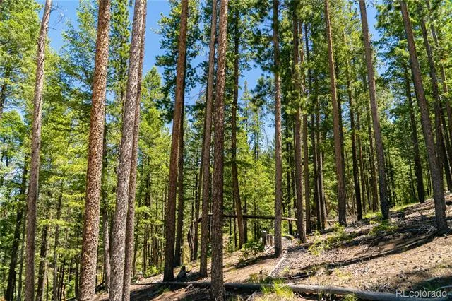 6814 Lynx Lair Road Evergreen, CO 80439