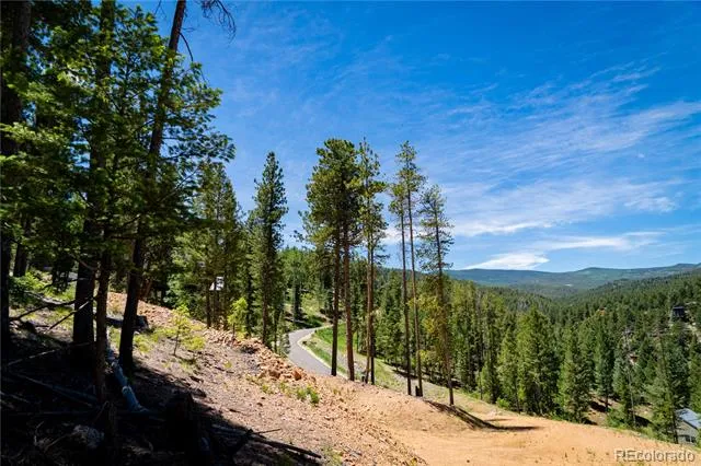 6814 Lynx Lair Road Evergreen, CO 80439