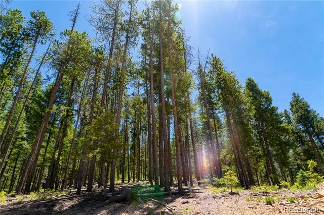 6814 Lynx Lair Road Evergreen, CO 80439