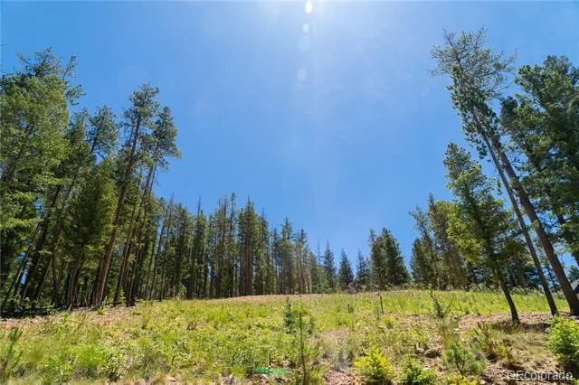 6814 Lynx Lair Road Evergreen, CO 80439