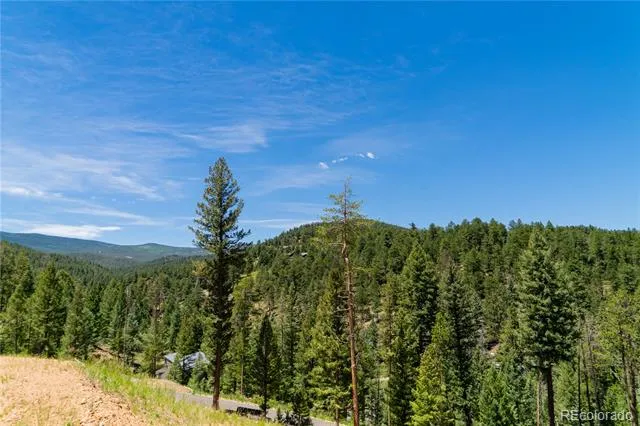 6814 Lynx Lair Road Evergreen, CO 80439