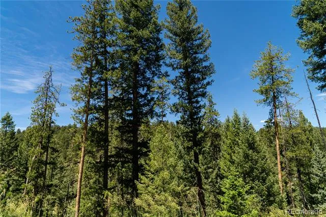 6814 Lynx Lair Road Evergreen, CO 80439