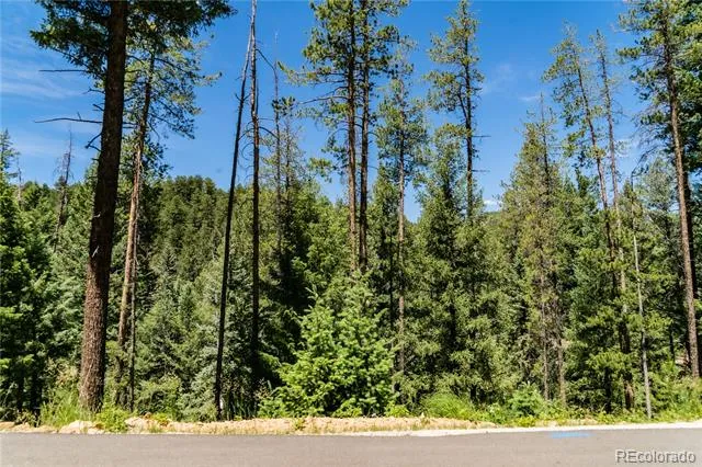6814 Lynx Lair Road Evergreen, CO 80439