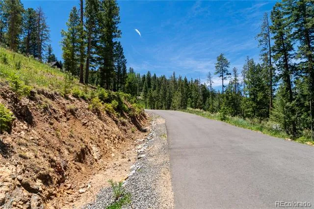 6814 Lynx Lair Road Evergreen, CO 80439