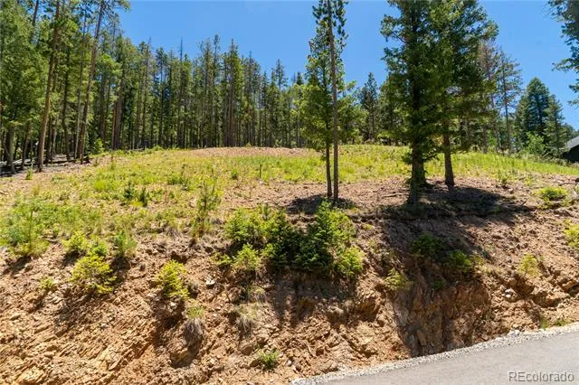 6814 Lynx Lair Road Evergreen, CO 80439