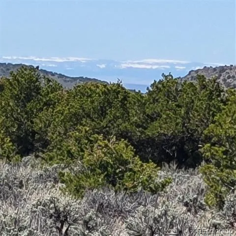 3702 Rockwell Road Fort Garland, CO 81133