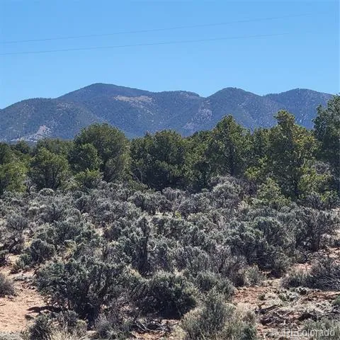 3702 Rockwell Road Fort Garland, CO 81133