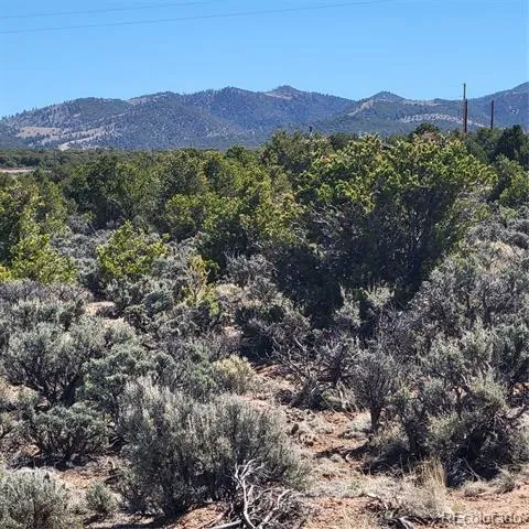 3702 Rockwell Road Fort Garland, CO 81133