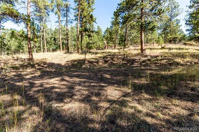 27406 Mountain Park Road Evergreen, CO 80439