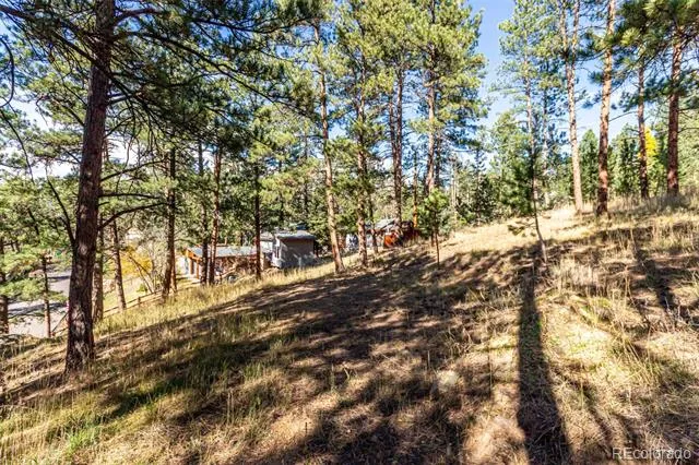 27406 Mountain Park Road Evergreen, CO 80439