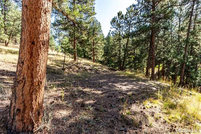 27406 Mountain Park Road Evergreen, CO 80439