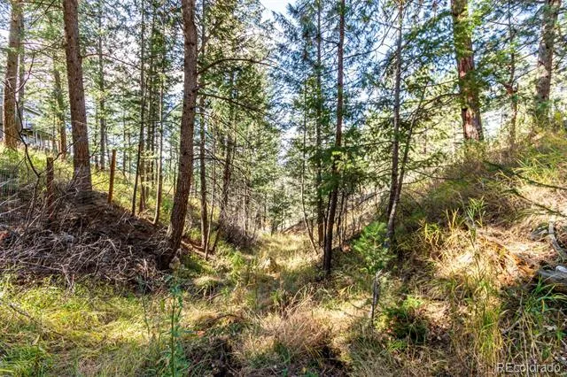 27406 Mountain Park Road Evergreen, CO 80439
