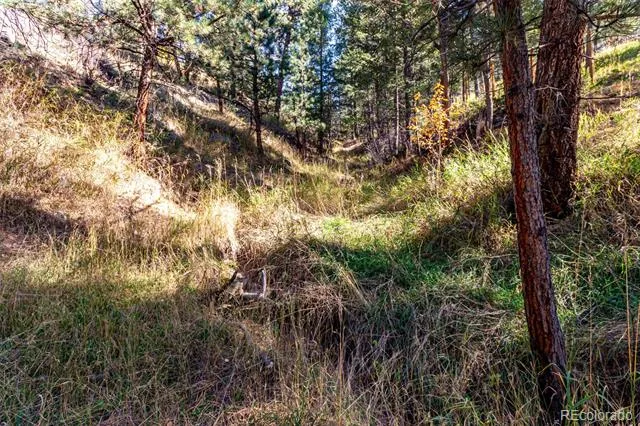 27406 Mountain Park Road Evergreen, CO 80439