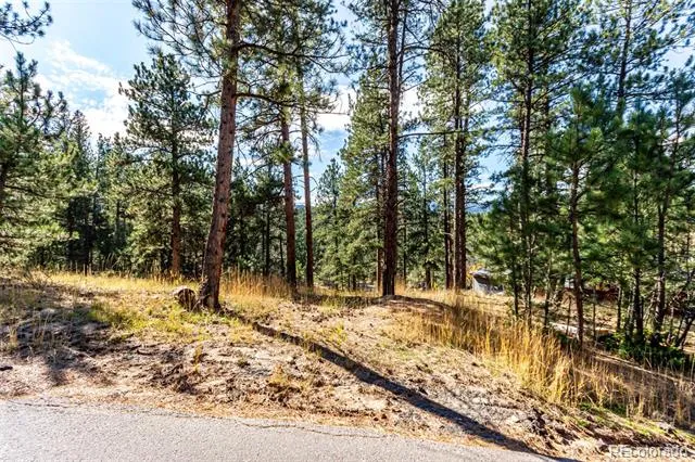 27406 Mountain Park Road Evergreen, CO 80439