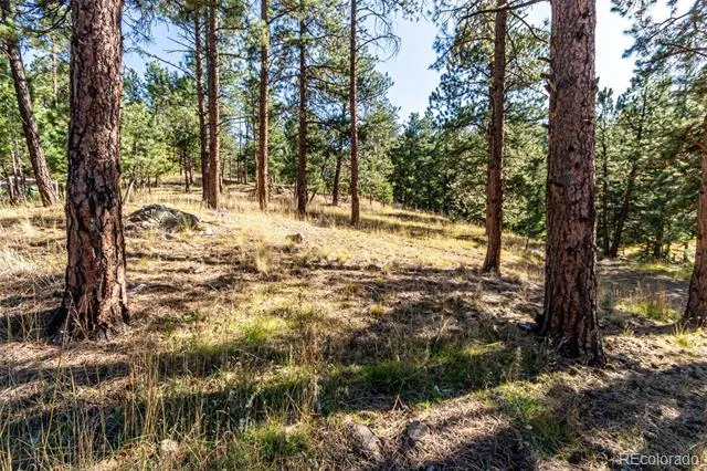 27406 Mountain Park Road Evergreen, CO 80439