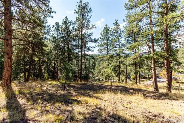 27406 Mountain Park Road Evergreen, CO 80439