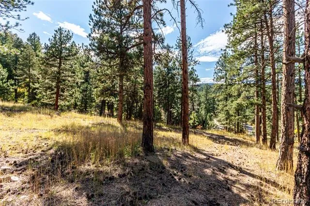 27406 Mountain Park Road Evergreen, CO 80439