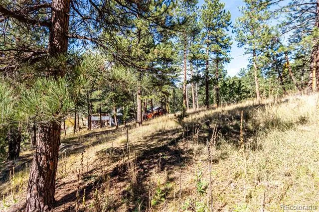 27406 Mountain Park Road Evergreen, CO 80439