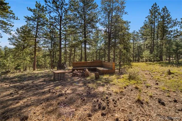 111 Sioux Trail Westcliffe, CO 81252
