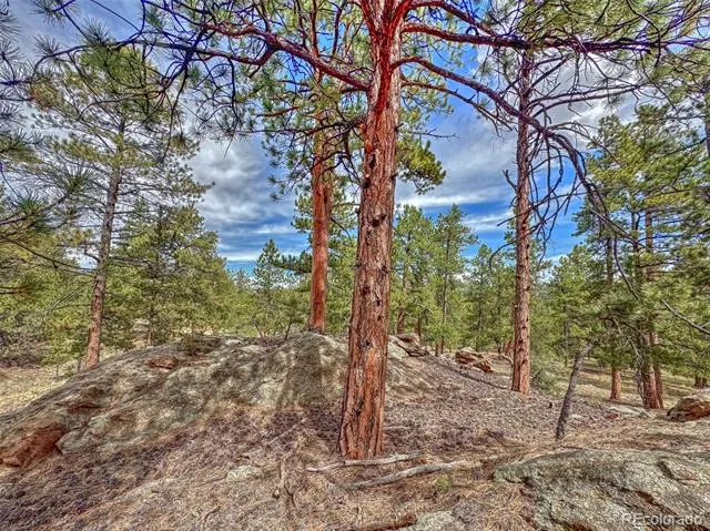 111 Sioux Trail Westcliffe, CO 81252
