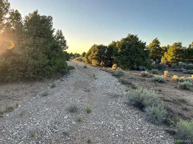8113 County Road 18.9 San Luis, CO 81152