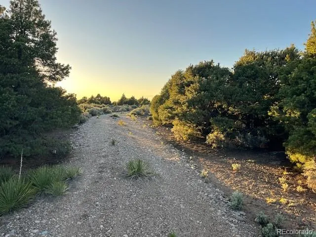 8113 County Road 18.9 San Luis, CO 81152