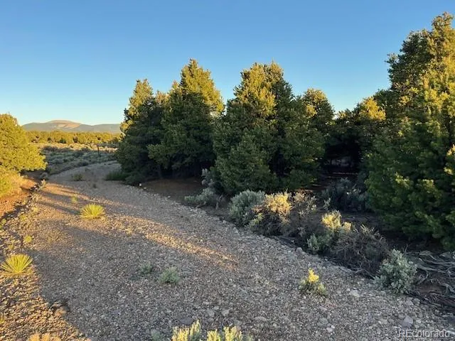 8113 County Road 18.9 San Luis, CO 81152