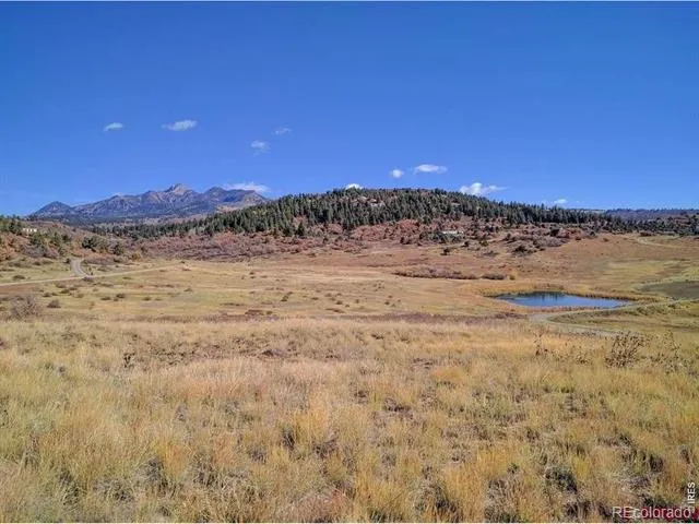 919 Roush Drive Pagosa Springs, CO 81147