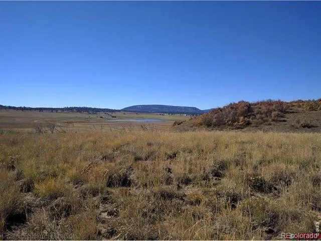 919 Roush Drive Pagosa Springs, CO 81147