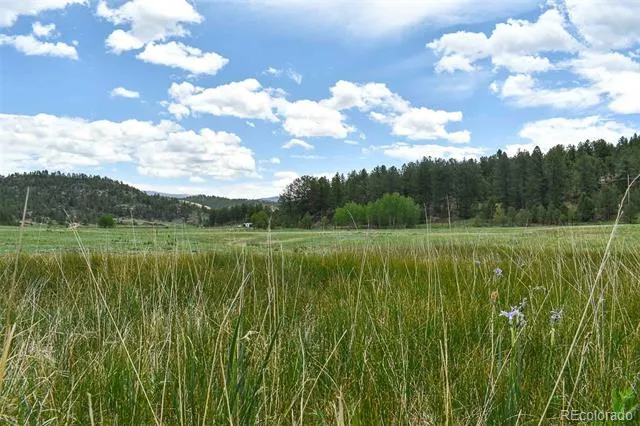 729 Valley Drive Guffey, CO 80820