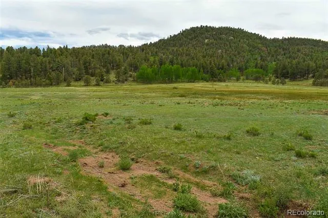 729 Valley Drive Guffey, CO 80820