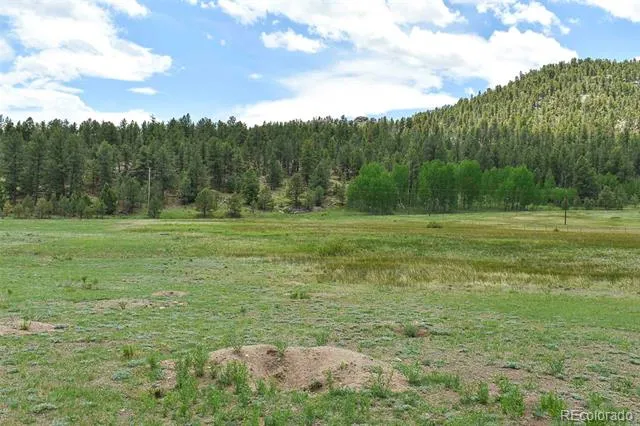 729 Valley Drive Guffey, CO 80820