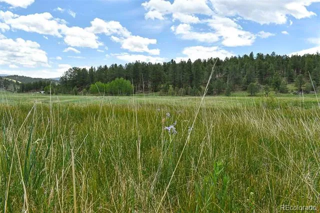 729 Valley Drive Guffey, CO 80820