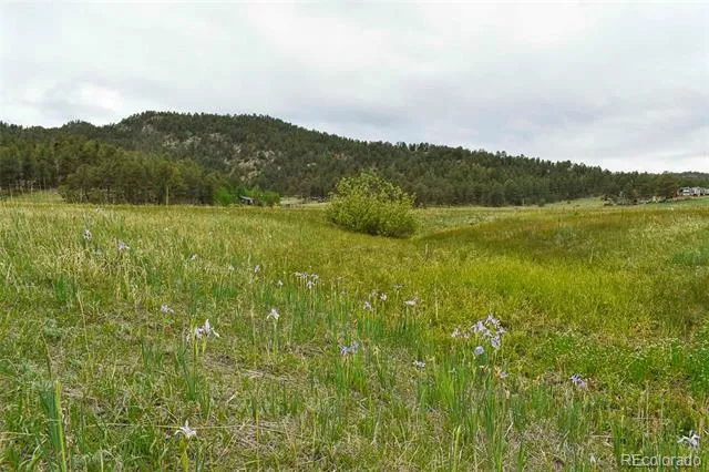 729 Valley Drive Guffey, CO 80820