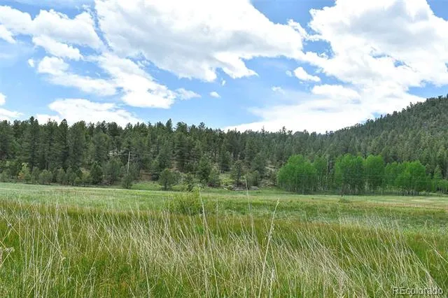 729 Valley Drive Guffey, CO 80820