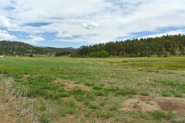 729 Valley Drive Guffey, CO 80820