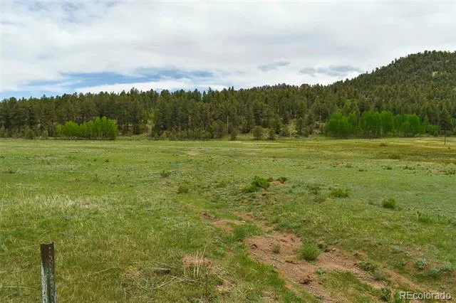 729 Valley Drive Guffey, CO 80820