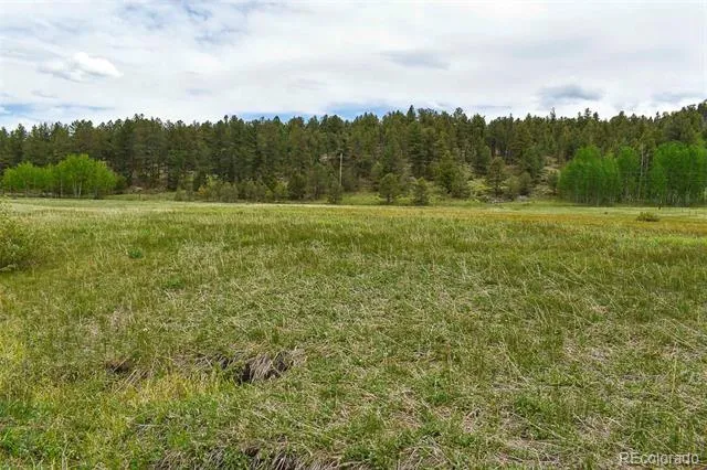 729 Valley Drive Guffey, CO 80820