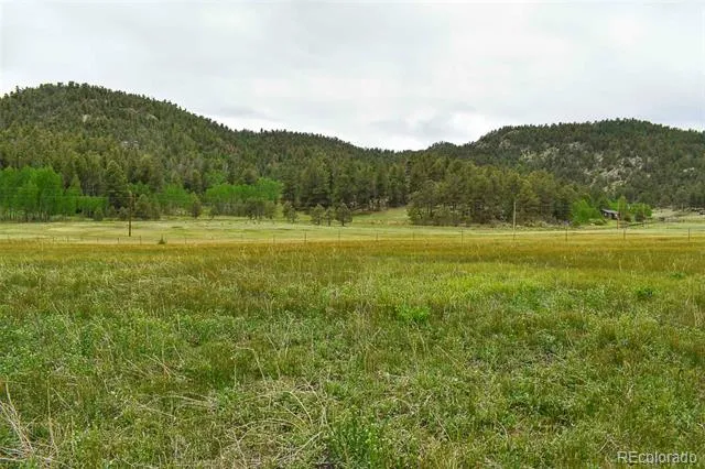 729 Valley Drive Guffey, CO 80820