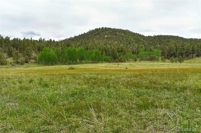 729 Valley Drive Guffey, CO 80820